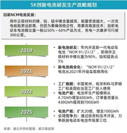 5月新能源乘用車市場增速放緩，投資管理面臨新考量