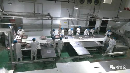 市政協(xié)調(diào)研組深入古浪縣調(diào)研農(nóng)產(chǎn)品加工產(chǎn)業(yè)發(fā)展現(xiàn)狀，聚焦工程與技術(shù)研發(fā)新路徑